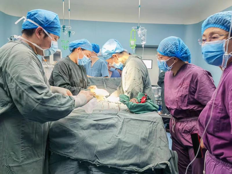 微信图片_20220817104817